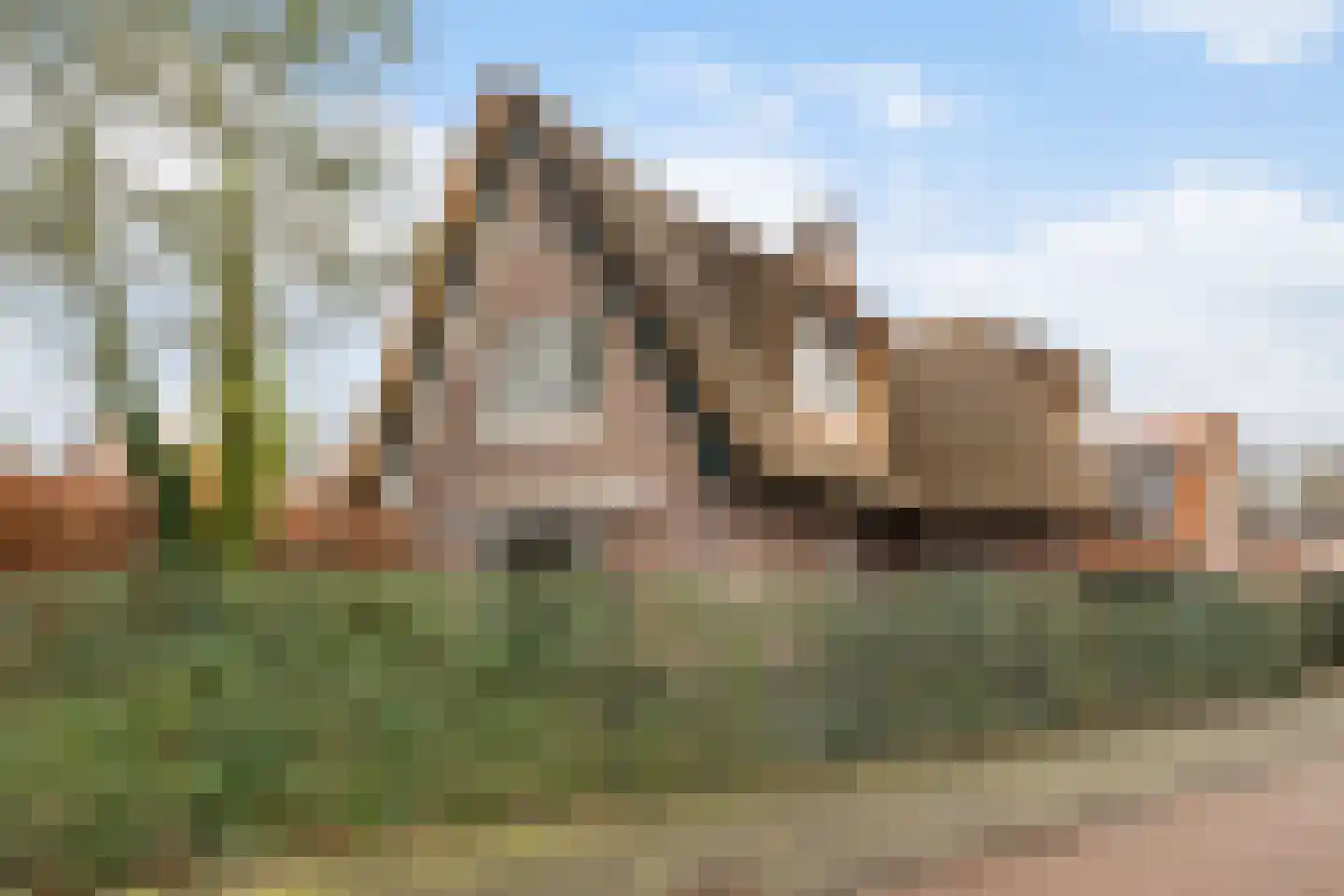Gallenkamp Pelsweg 37 Soest thumbnail 31