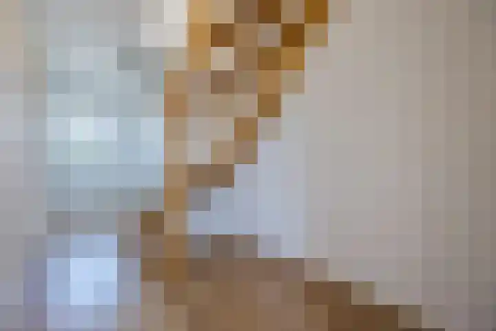 Galmeidijk 14 Roosendaal thumbnail 30