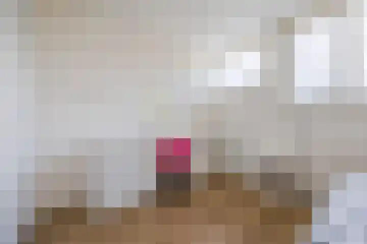 Galmeidijk 14 Roosendaal thumbnail 33