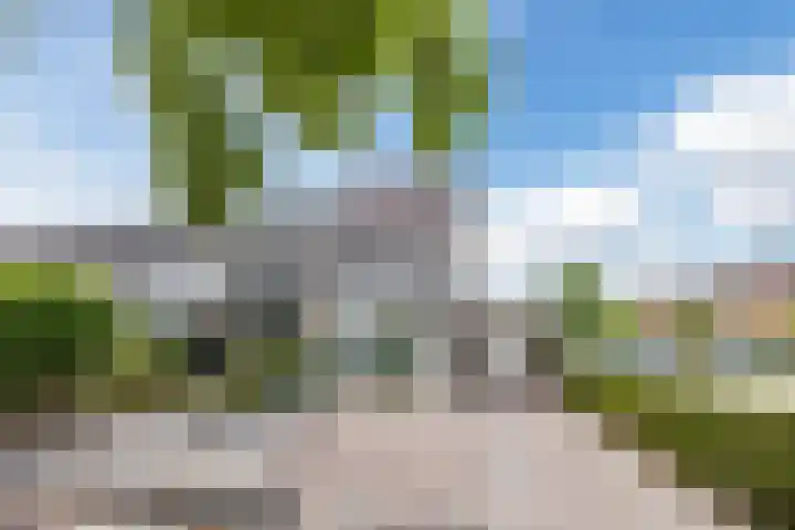 Galmeidijk 14 Roosendaal thumbnail 6
