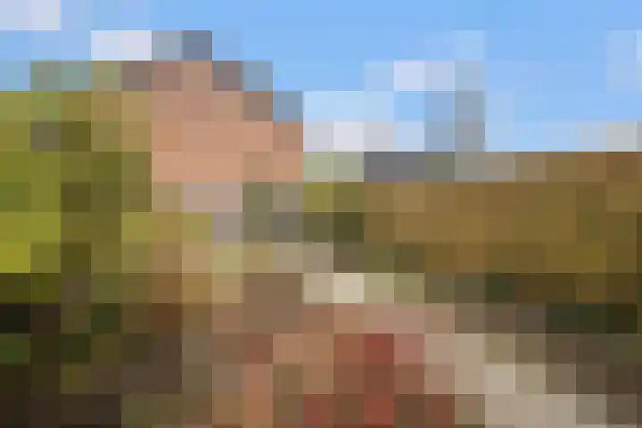Galmeidijk 30 Roosendaal thumbnail 32