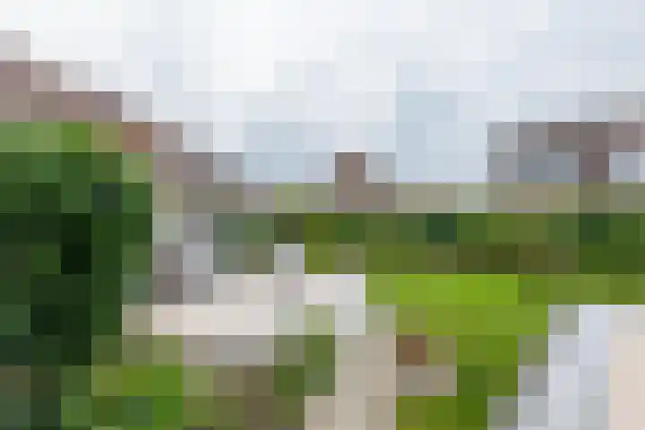 Galmgat 1 Middelburg thumbnail 5