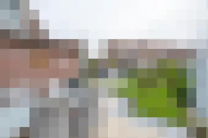 Galmgat 1 Middelburg thumbnail 8
