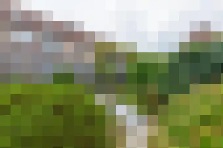 Galmgat 1 Middelburg thumbnail 9