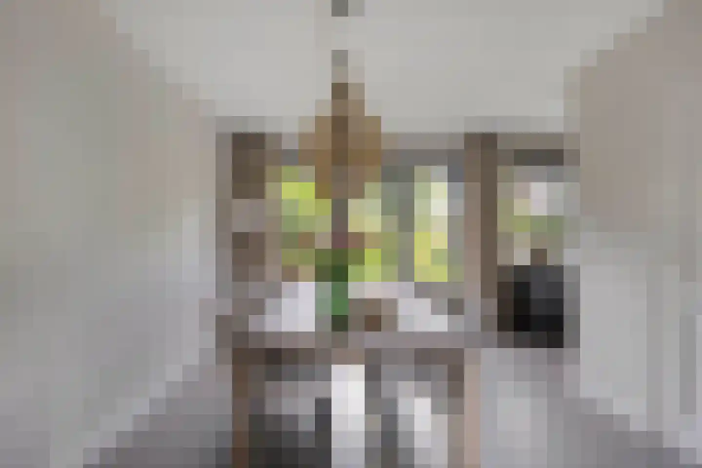 Galmheuvel 21 Best thumbnail 14