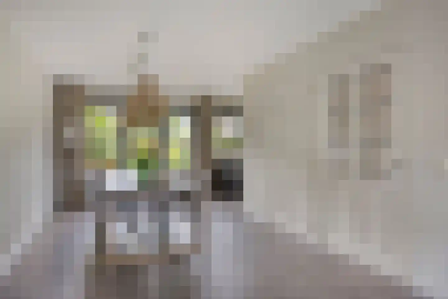 Galmheuvel 21 Best thumbnail 15