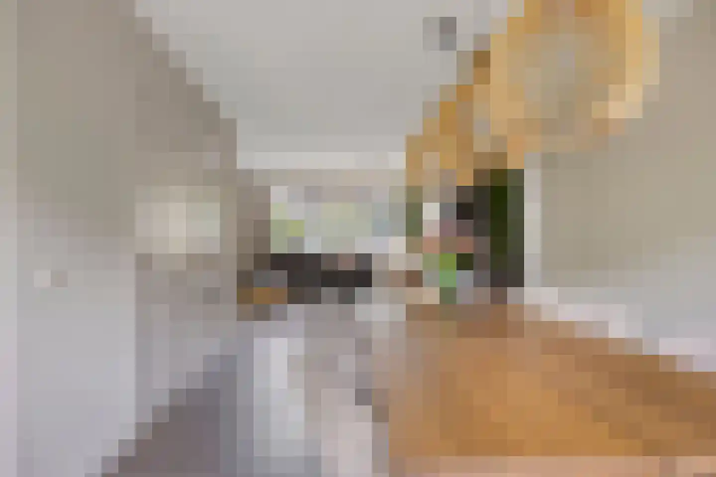 Galmheuvel 21 Best thumbnail 16