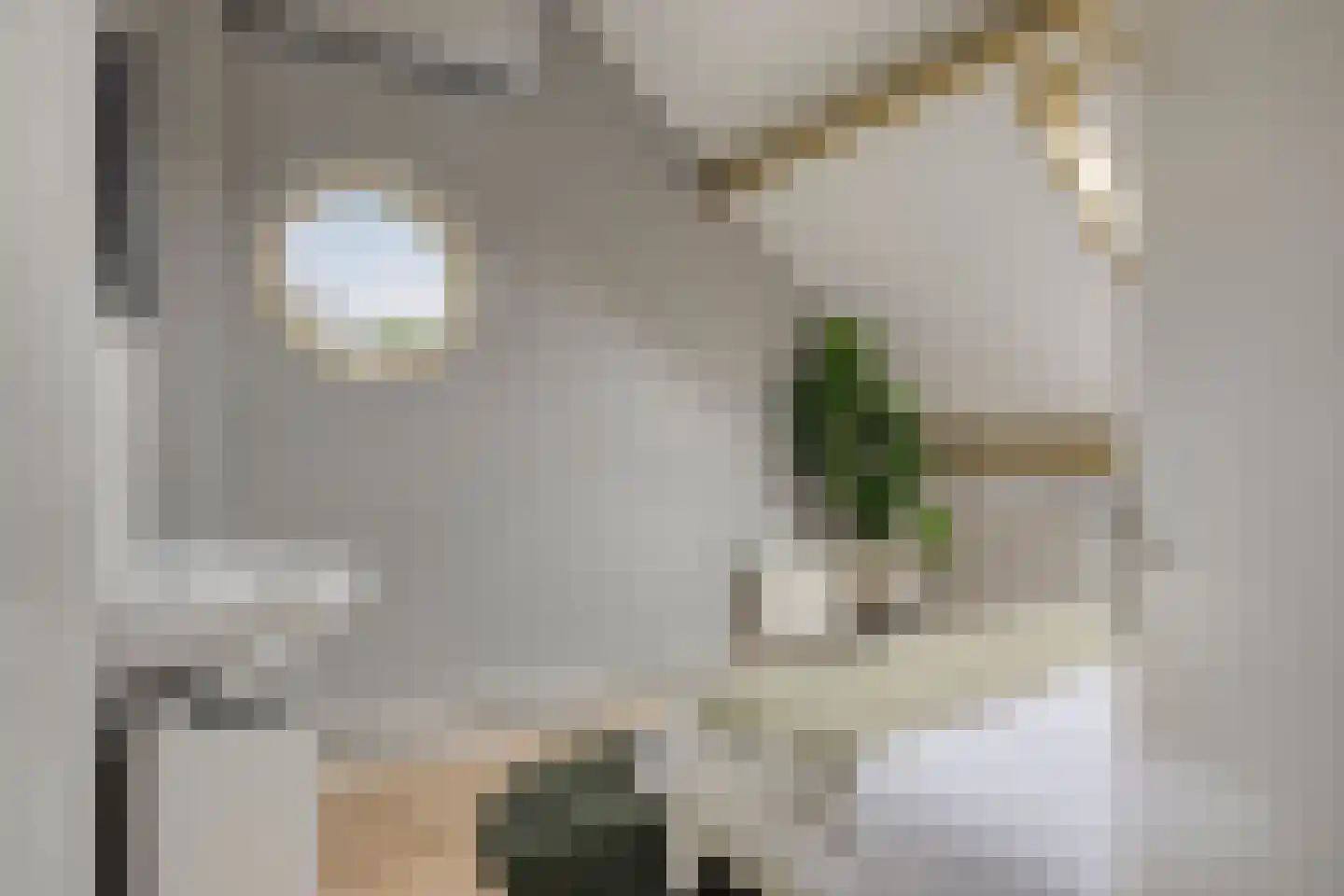 Galmheuvel 21 Best thumbnail 35