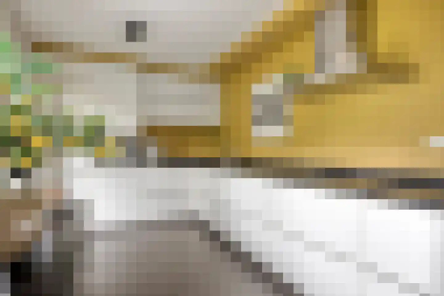 Galmheuvel 21 Best thumbnail 4