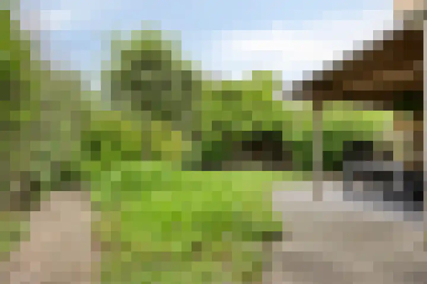 Galmheuvel 21 Best thumbnail 40