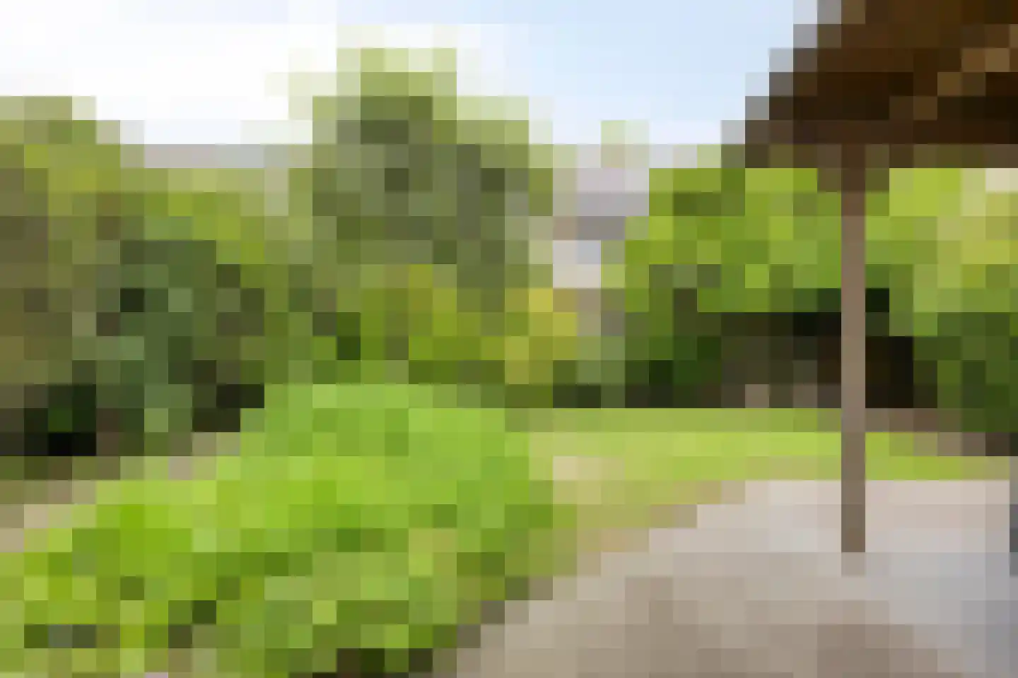 Galmheuvel 21 Best thumbnail 41