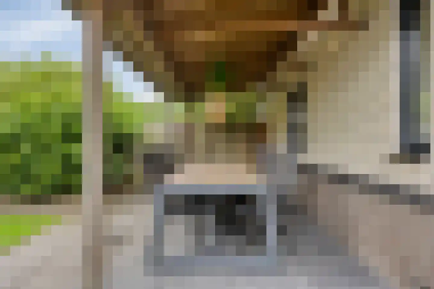 Galmheuvel 21 Best thumbnail 42