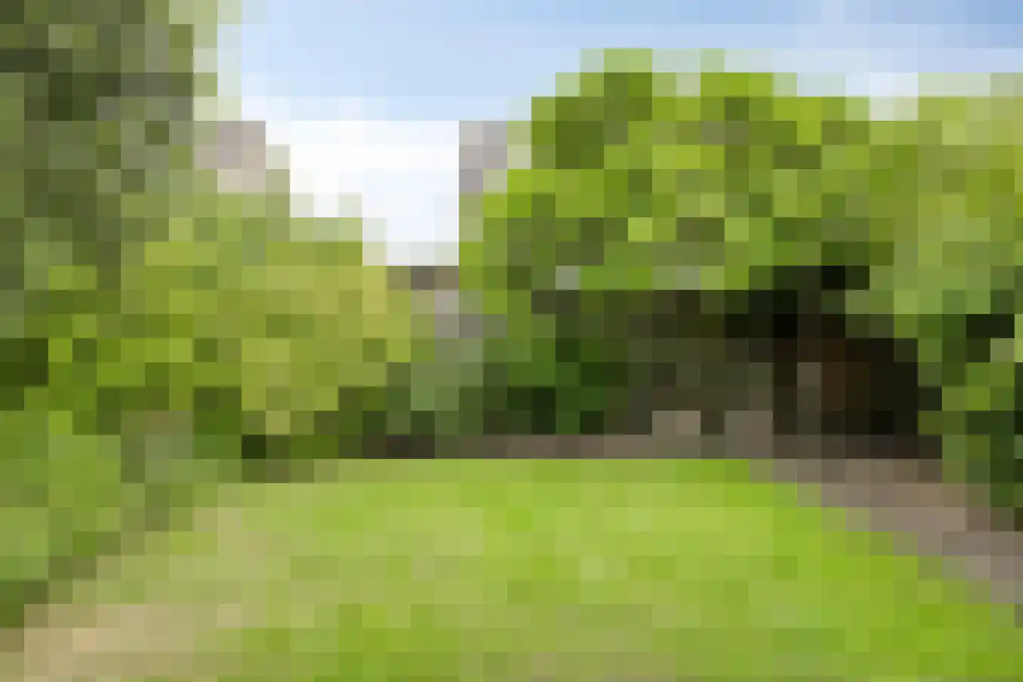 Galmheuvel 21 Best thumbnail 43