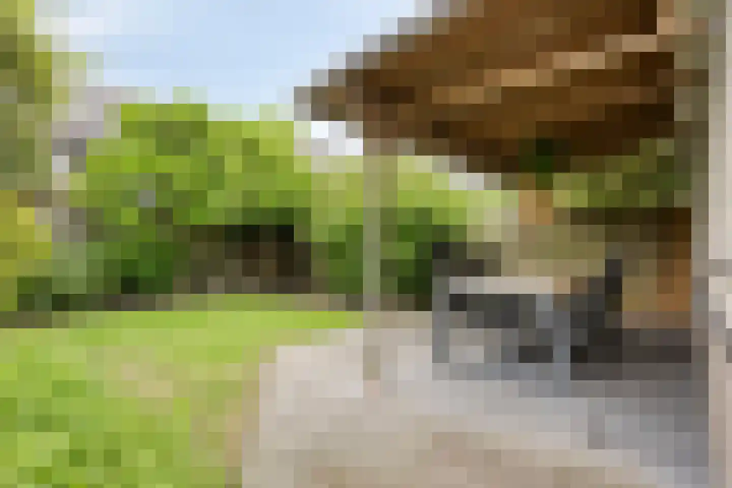 Galmheuvel 21 Best thumbnail 5