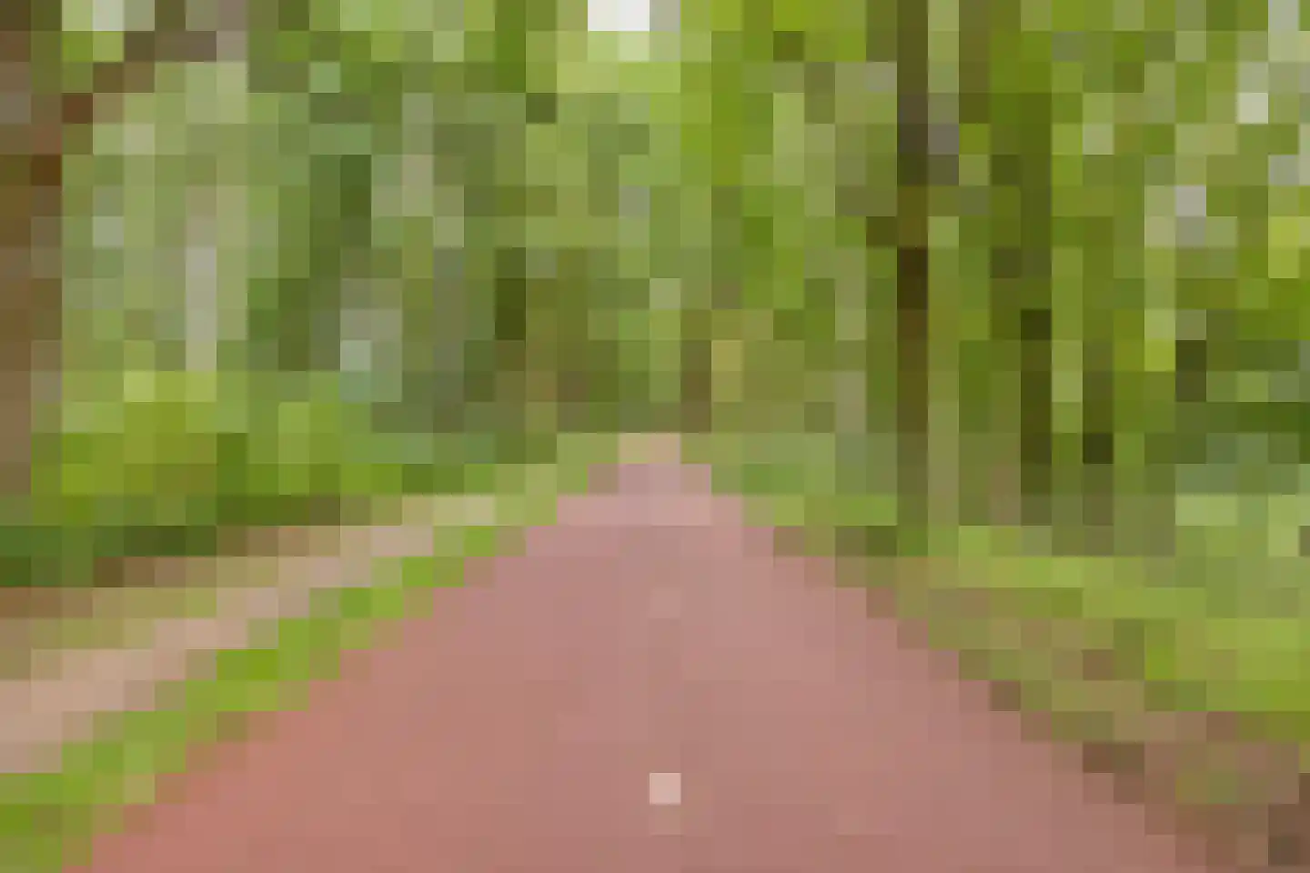 Galmheuvel 21 Best thumbnail 51