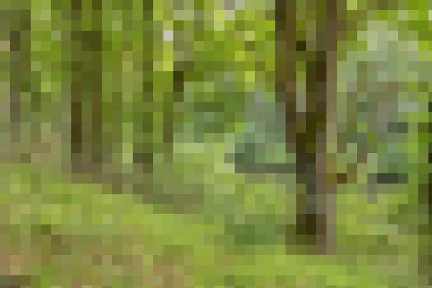 Galmheuvel 21 Best thumbnail 52