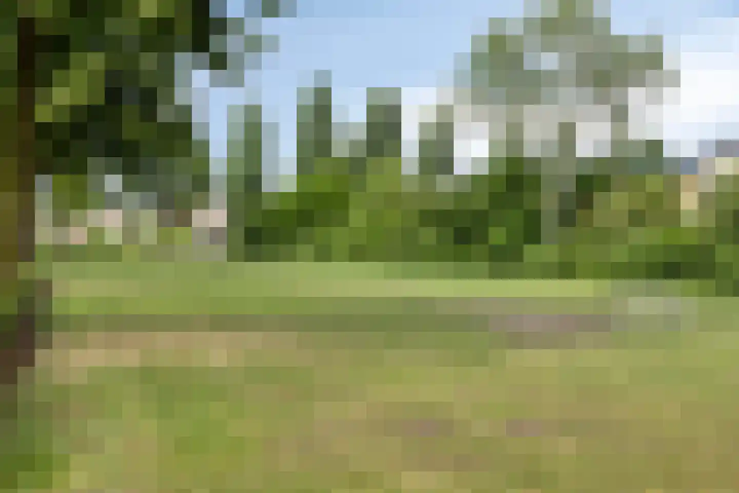 Galmheuvel 21 Best thumbnail 54