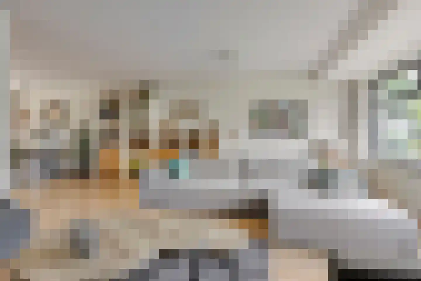 Galmheuvel 23 Best thumbnail 14