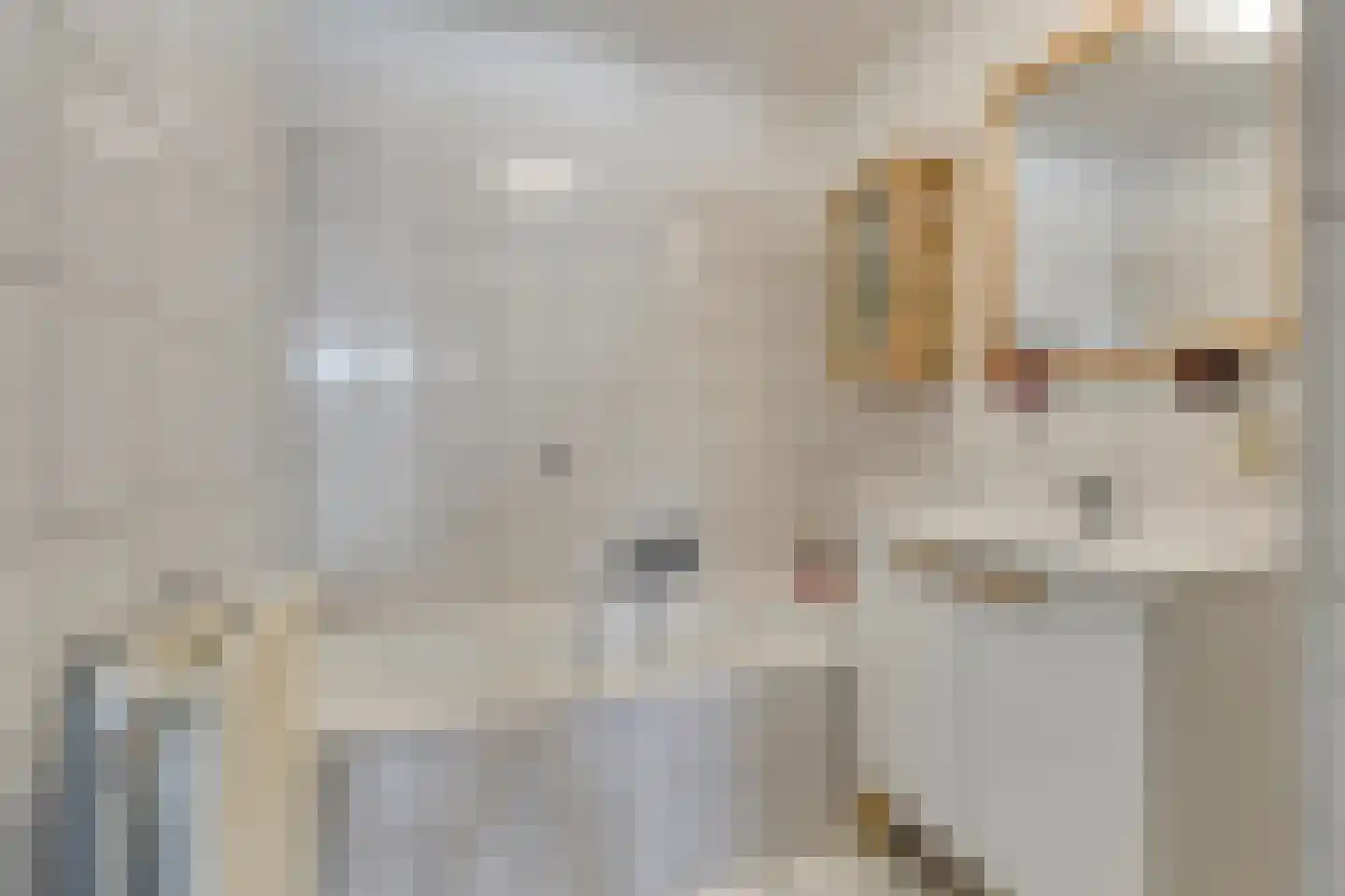 Galmheuvel 23 Best thumbnail 28