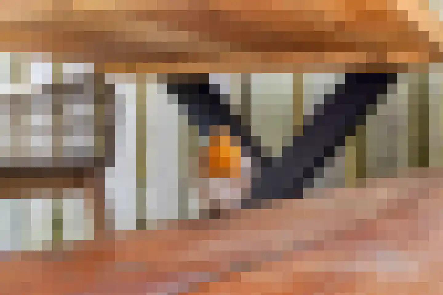 Galmheuvel 23 Best thumbnail 36