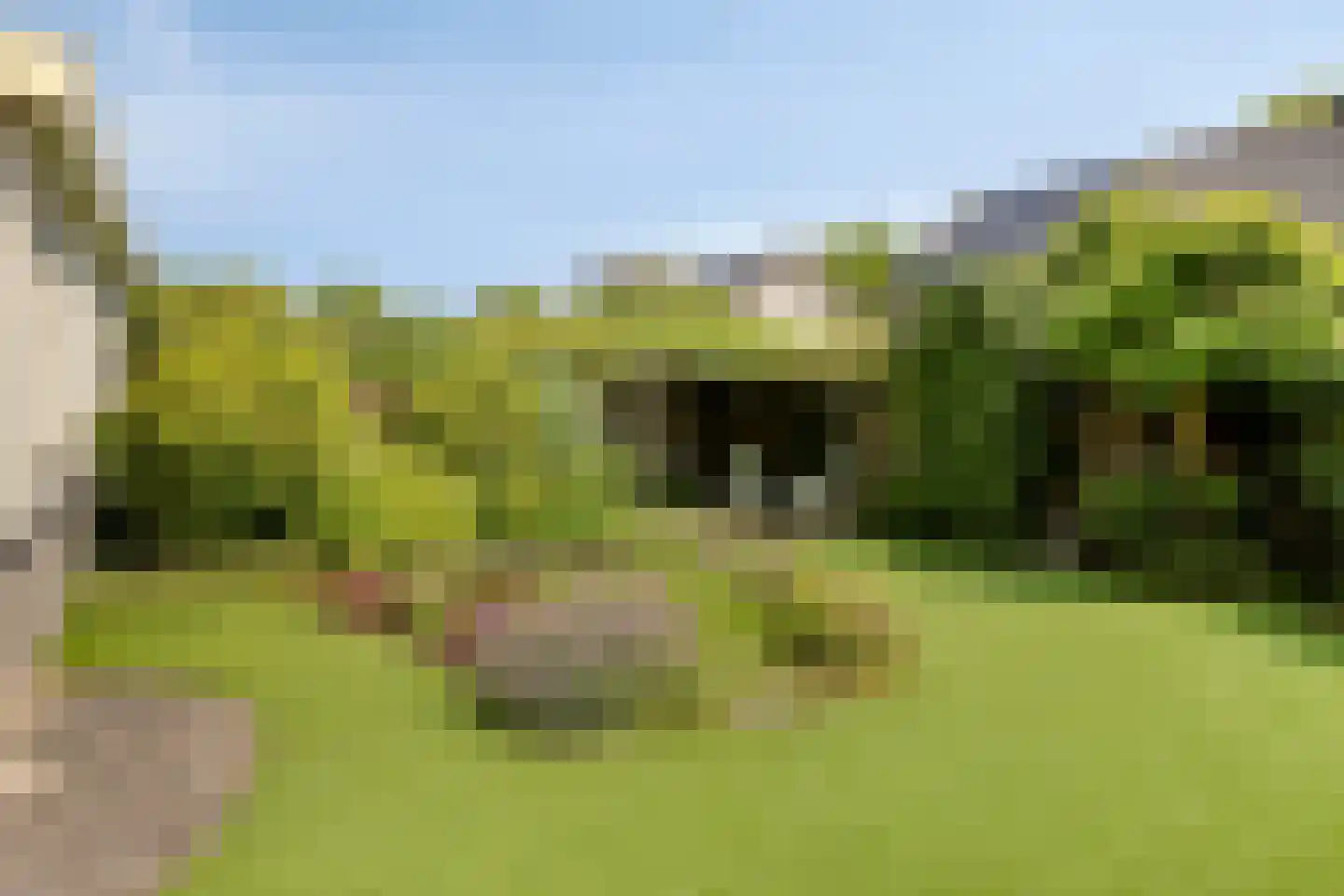 Galmheuvel 23 Best thumbnail 37