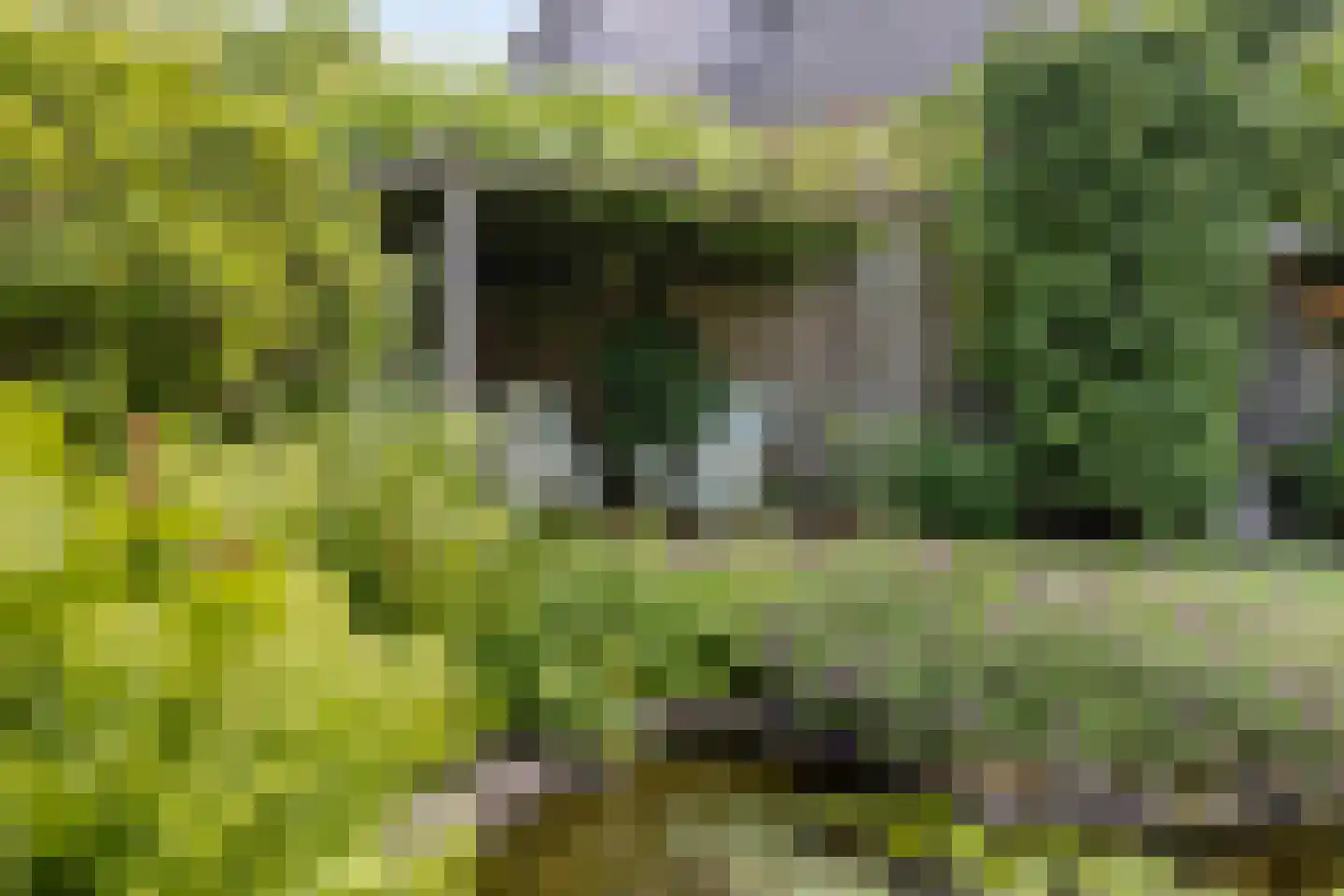 Galmheuvel 23 Best thumbnail 40