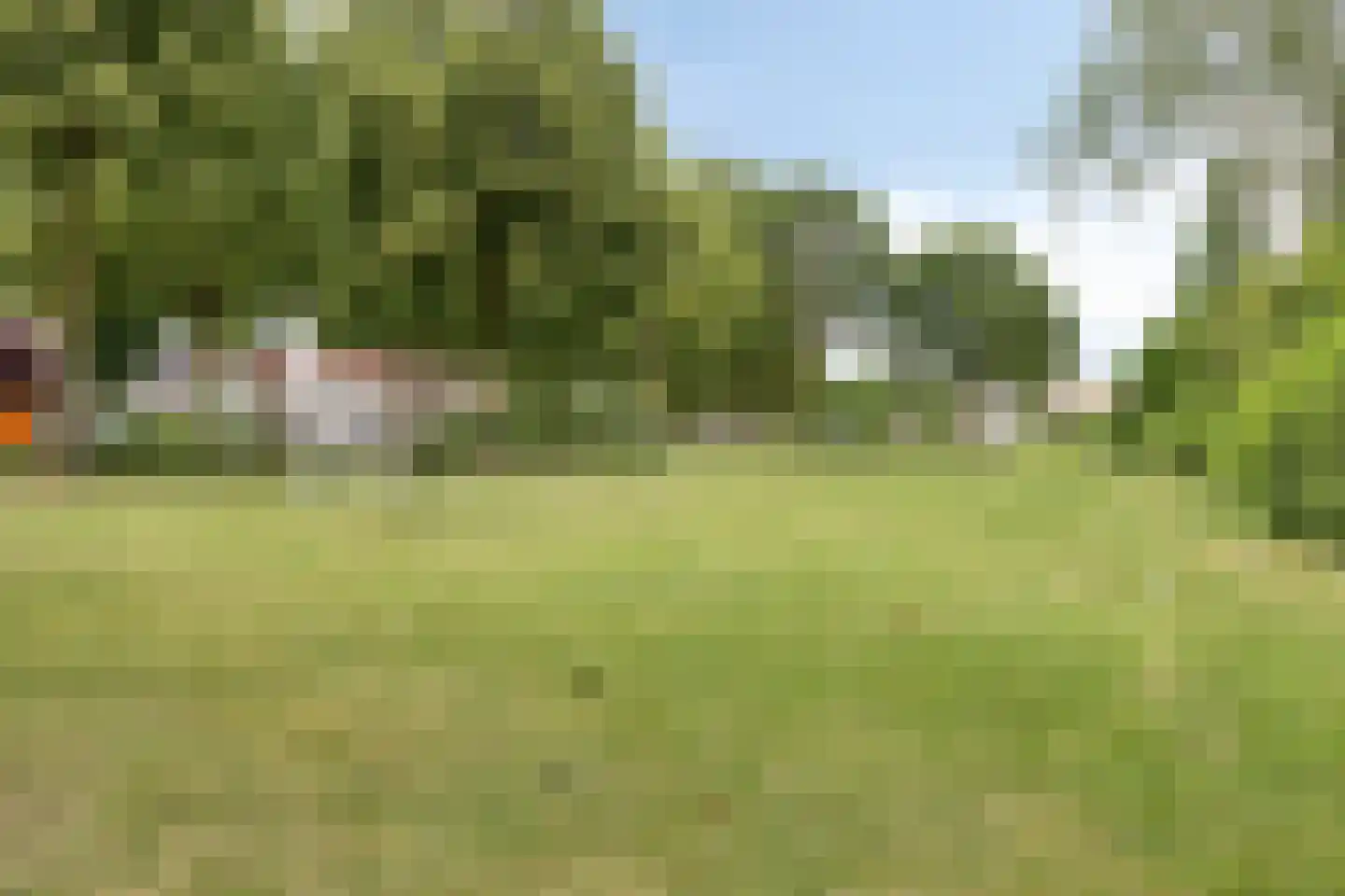 Galmheuvel 23 Best thumbnail 44