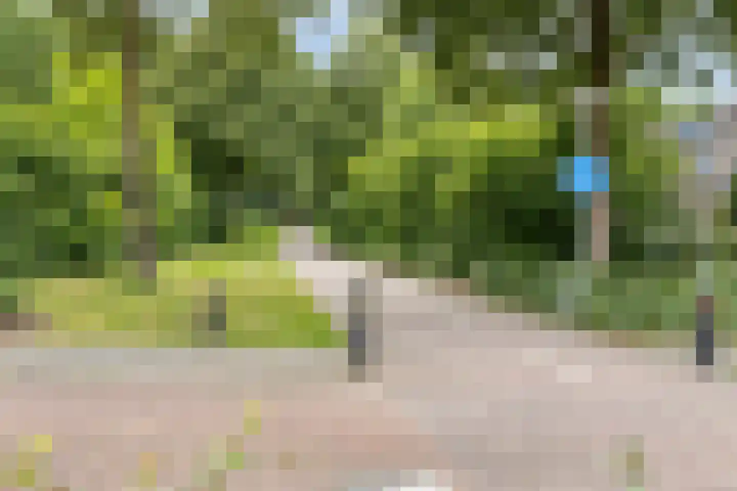 Galmheuvel 23 Best thumbnail 45