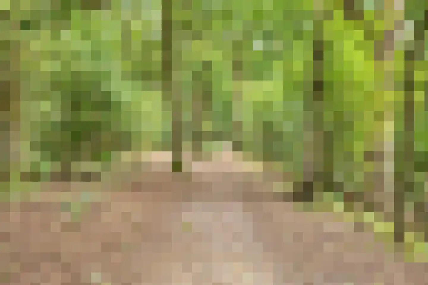 Galmheuvel 23 Best thumbnail 46
