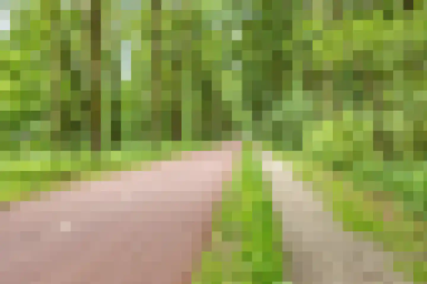 Galmheuvel 23 Best thumbnail 47