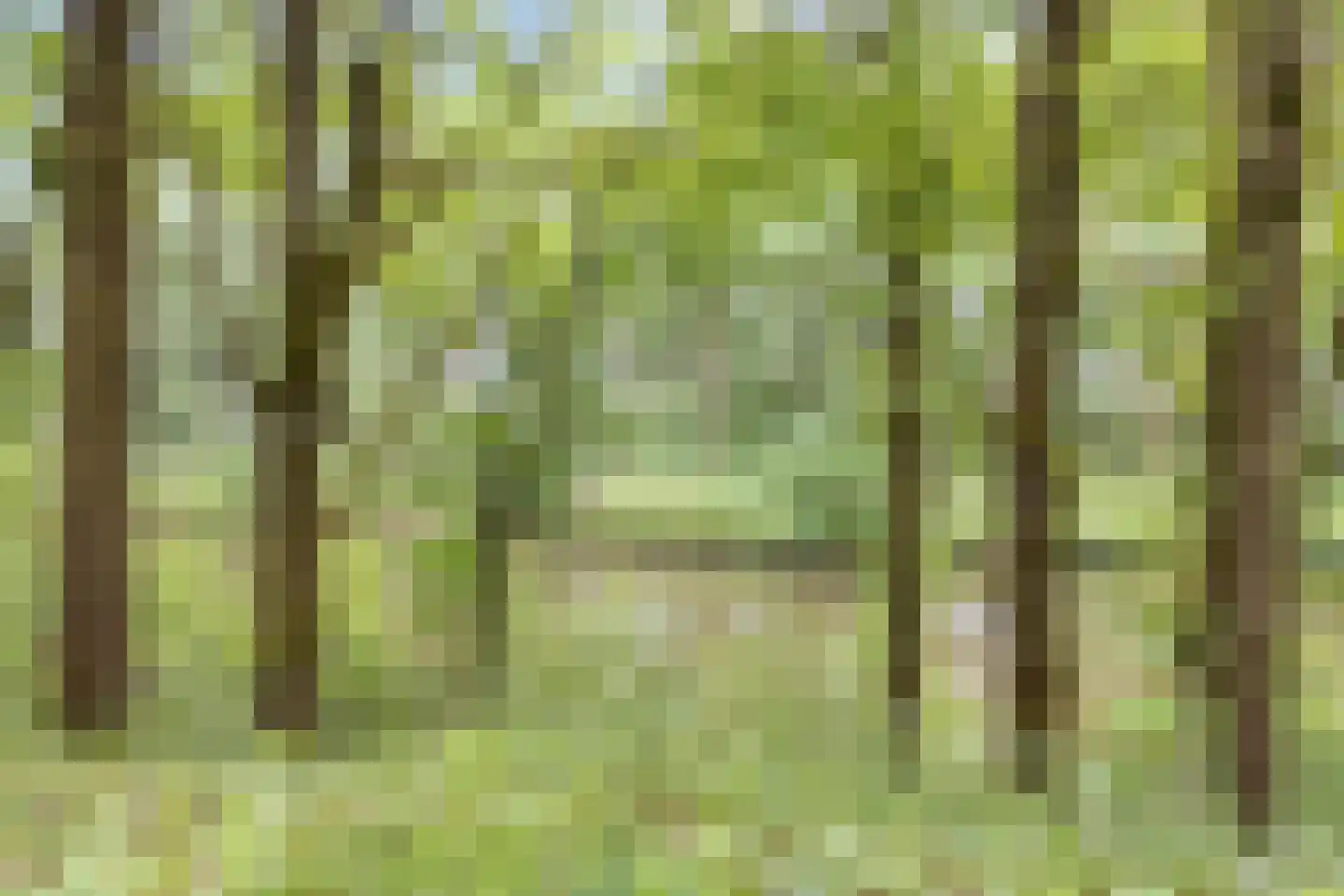 Galmheuvel 23 Best thumbnail 48