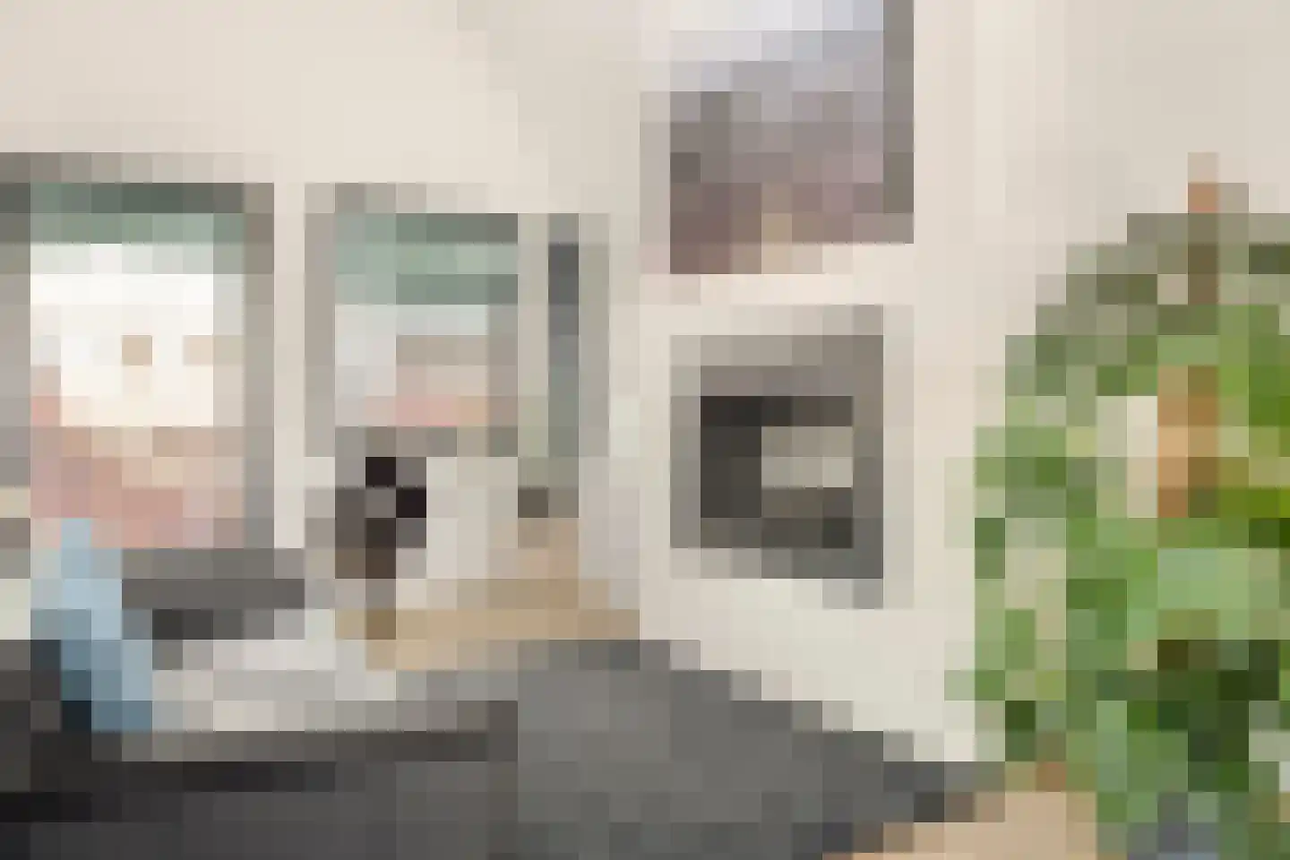 Galop 1 Nootdorp thumbnail 13