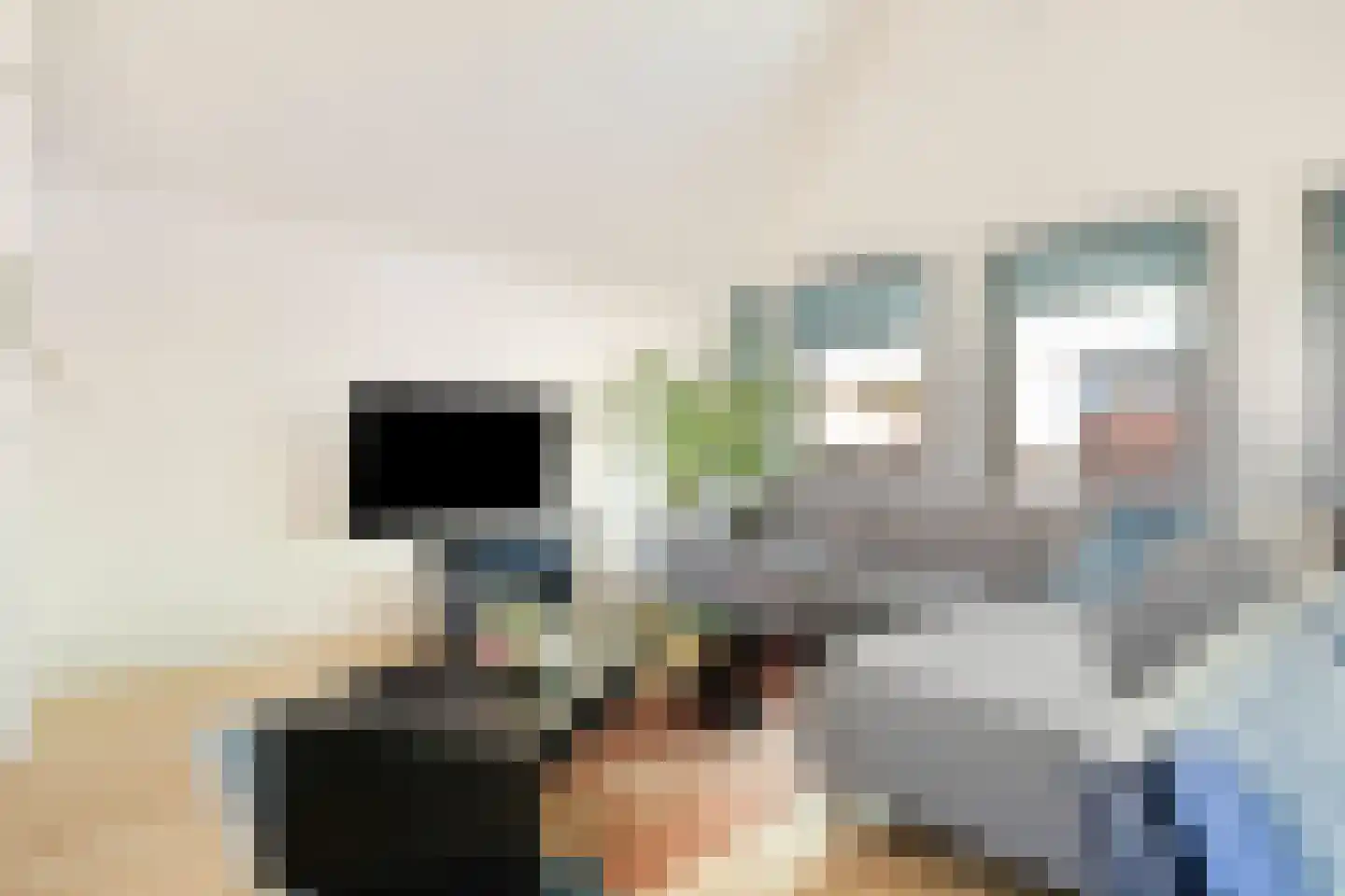 Galop 1 Nootdorp thumbnail 15