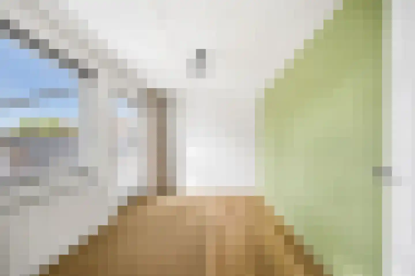 Galop 1 Nootdorp thumbnail 15