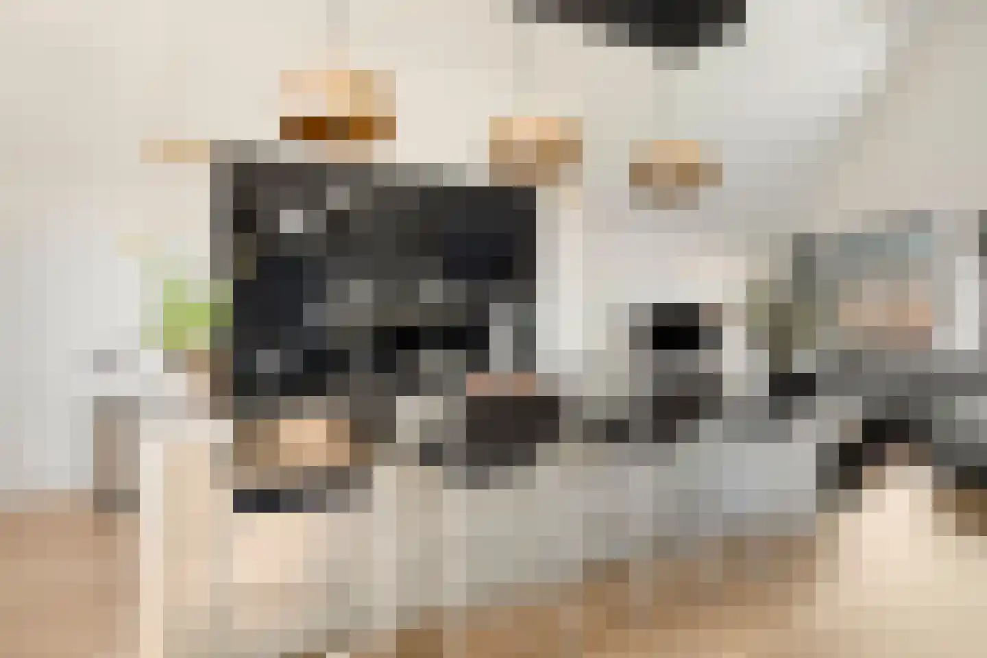 Galop 1 Nootdorp thumbnail 20