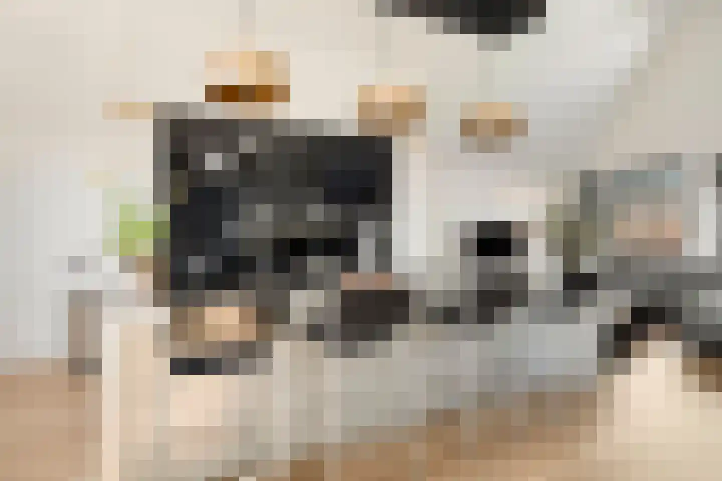 Galop 1 Nootdorp thumbnail 31
