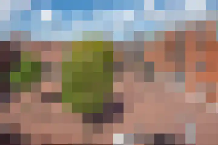 Galop 7 Nootdorp thumbnail 25