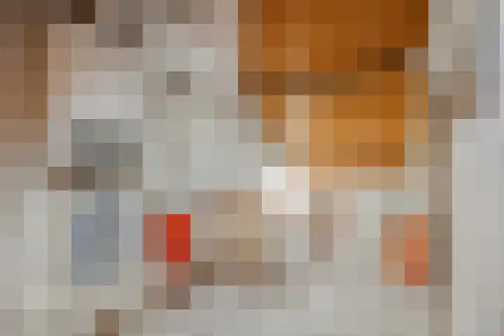 Galopiahof 39 Maastricht thumbnail 32