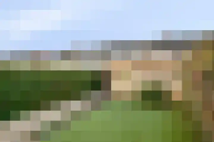 Galopiahof 39 Maastricht thumbnail 33