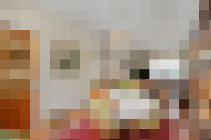 Galopiahof 39 Maastricht thumbnail 5
