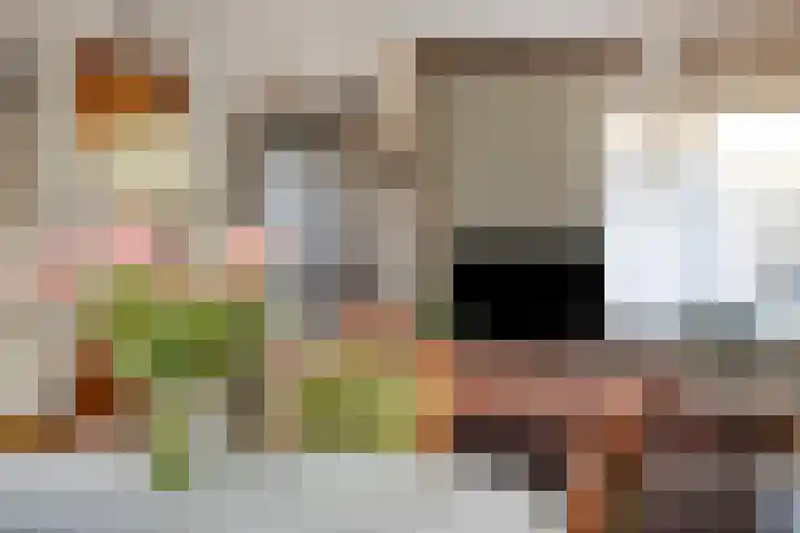Galopiahof 39 Maastricht thumbnail 8