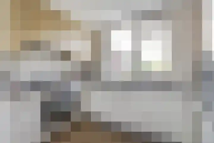 Galoppeerbaan 10 Amersfoort thumbnail 11
