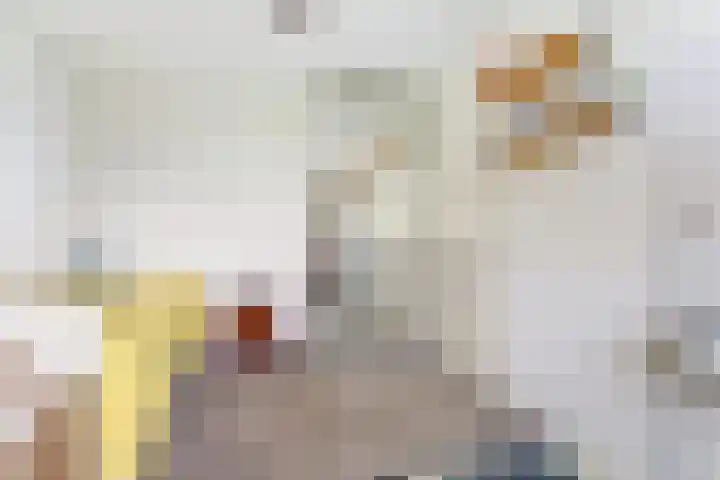 Galoppeerbaan 10 Amersfoort thumbnail 17