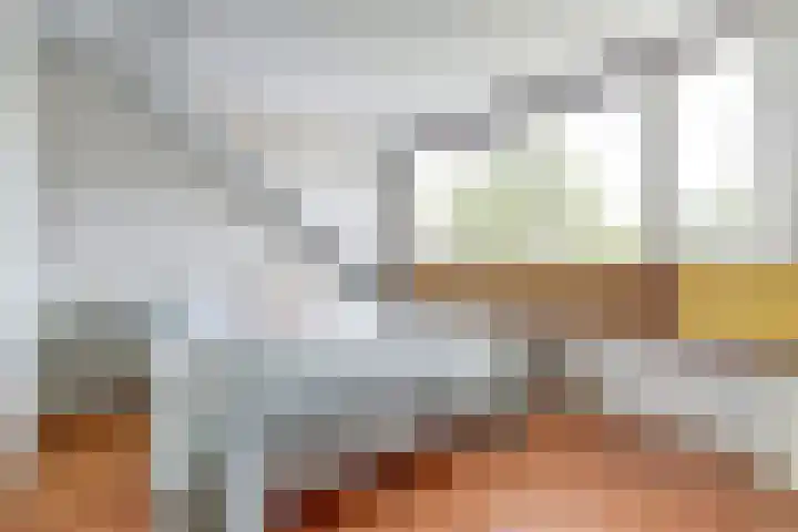 Galoppeerbaan 10 Amersfoort thumbnail 18