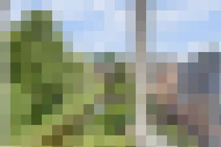 Galoppeerbaan 10 Amersfoort thumbnail 20