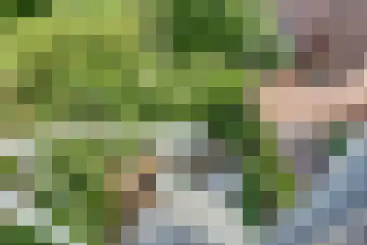 Galoppeerbaan 10 Amersfoort thumbnail 26