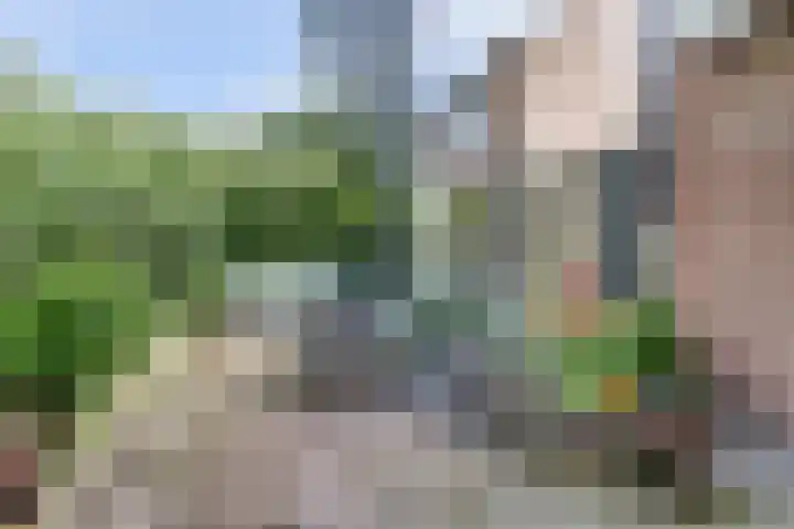 Galoppeerbaan 10 Amersfoort thumbnail 28