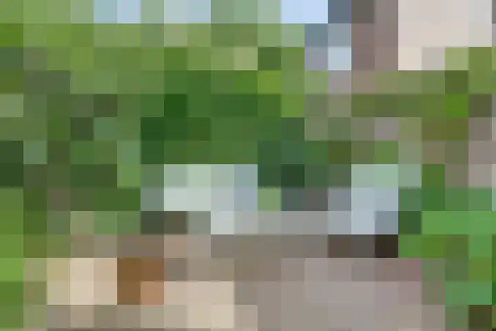 Galoppeerbaan 10 Amersfoort thumbnail 29