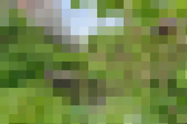 Galoppeerbaan 10 Amersfoort thumbnail 31