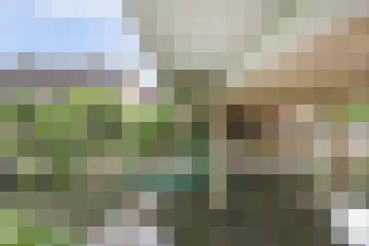 Galoppeerbaan 10 Amersfoort thumbnail 32